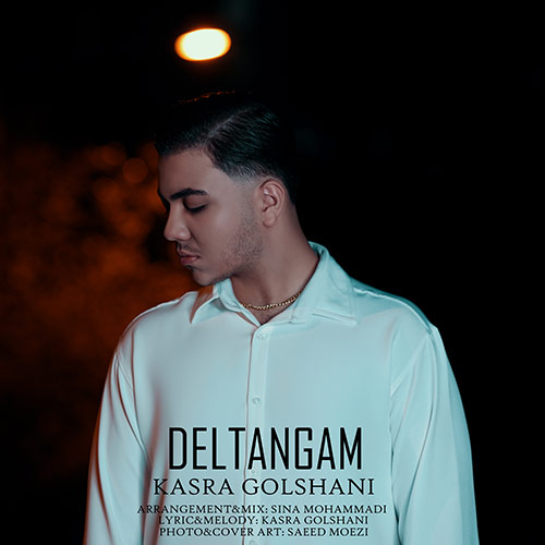 kasra golshani deltangam 2023 08 23 16 20