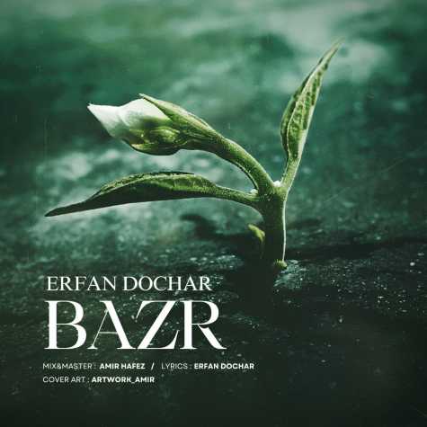 erfan dochar bazr 2024 10 13 12 42